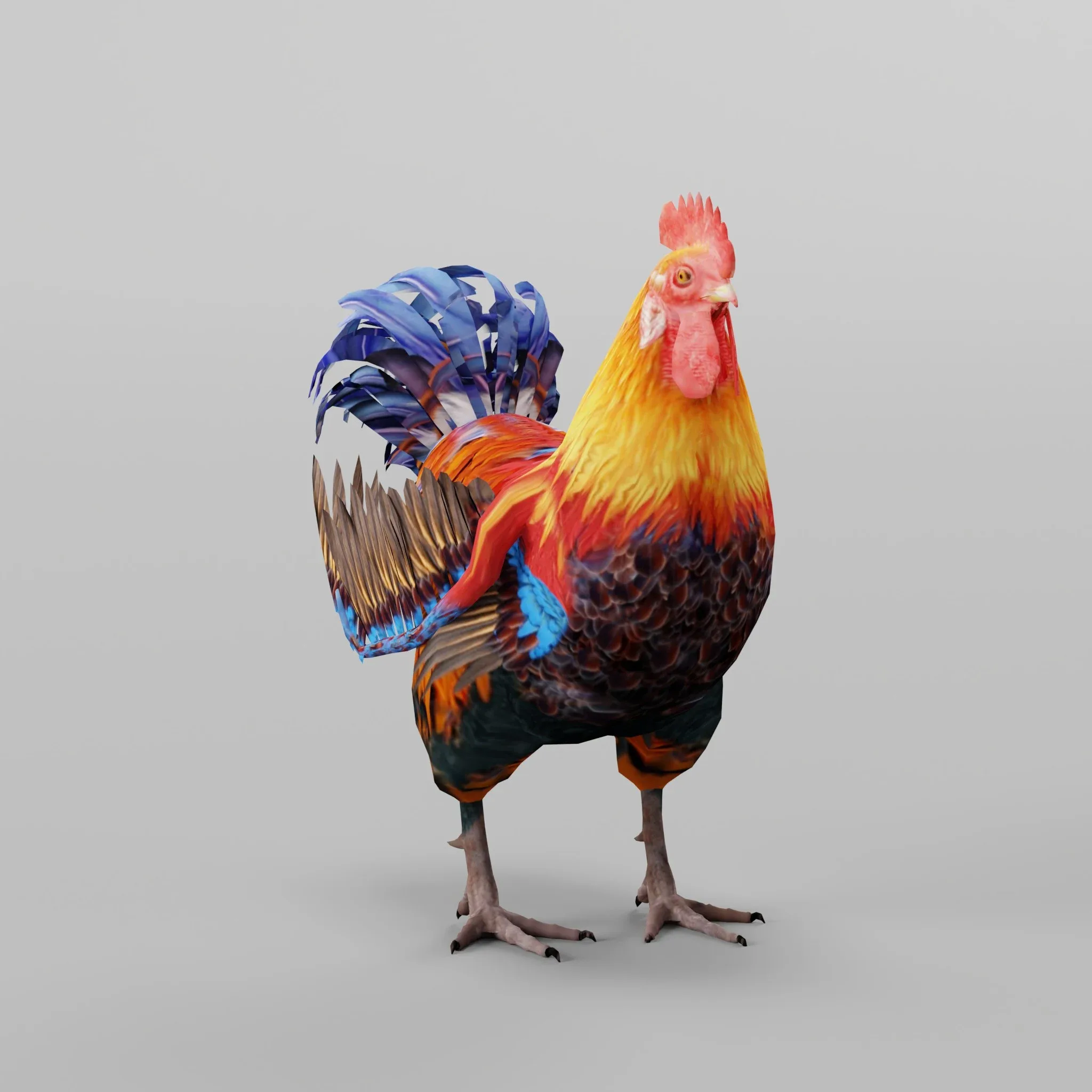 Rooster