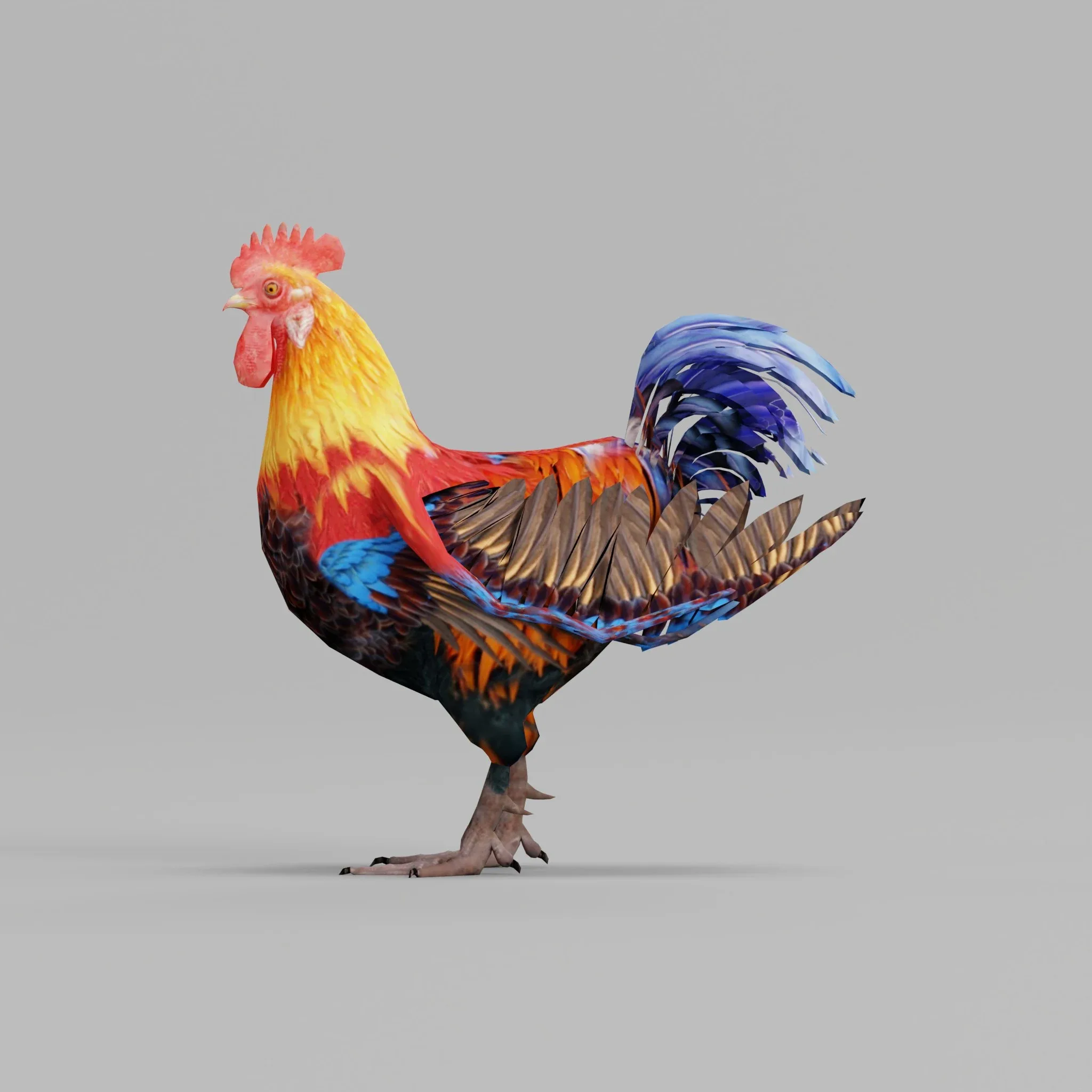 Rooster