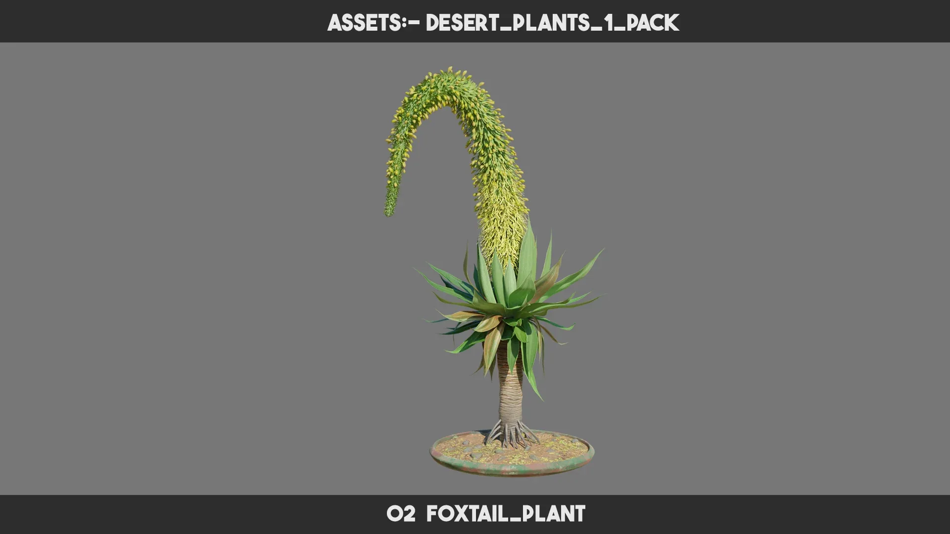 Desert Plants 1 PACK