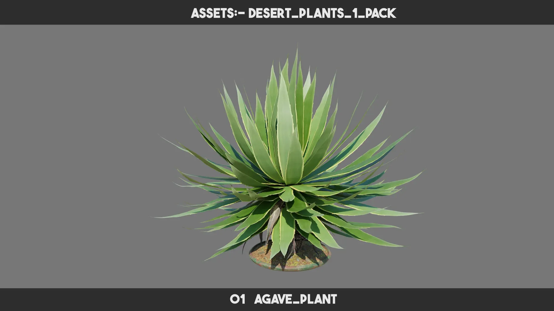 Desert Plants 1 PACK