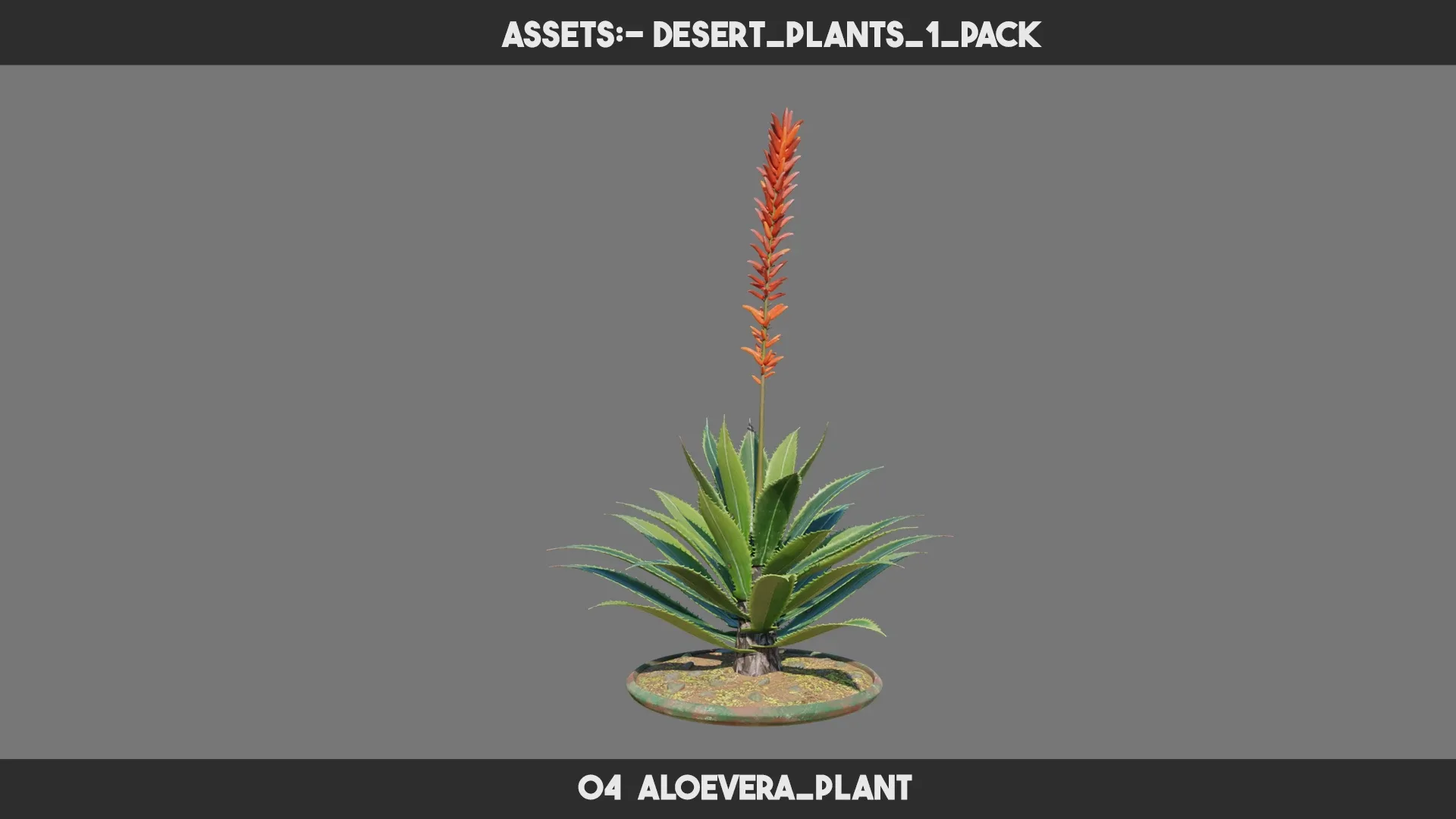 Desert Plants 1 PACK