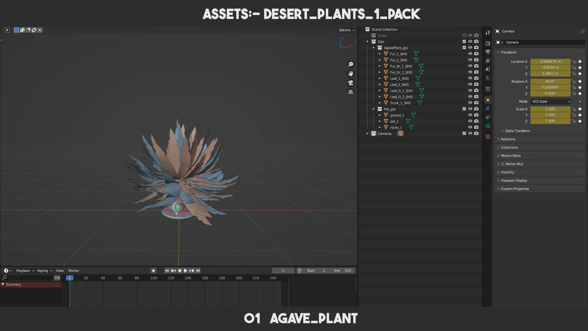 Desert Plants 1 PACK