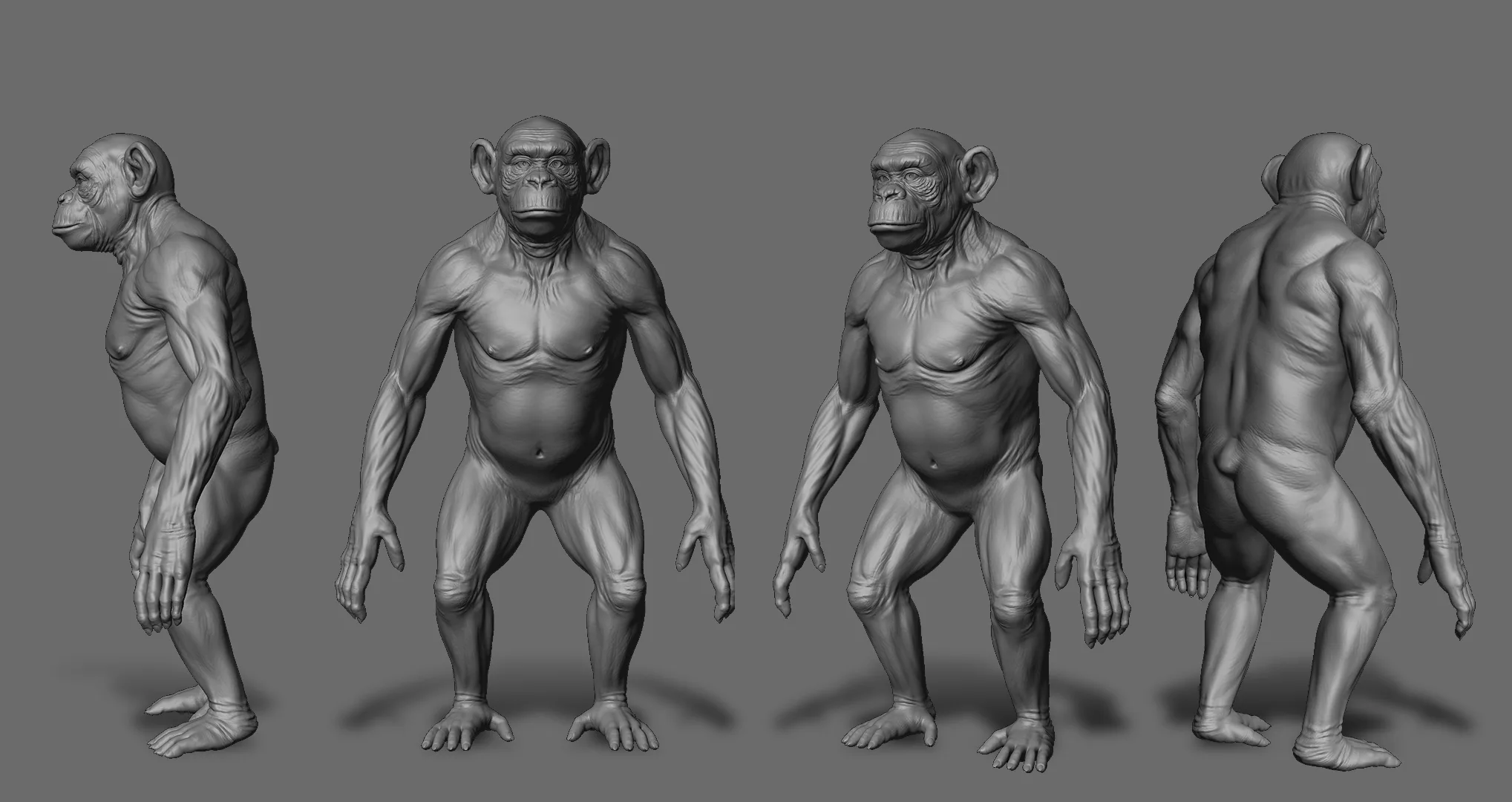 Chimpanzee - Topology + UV Map