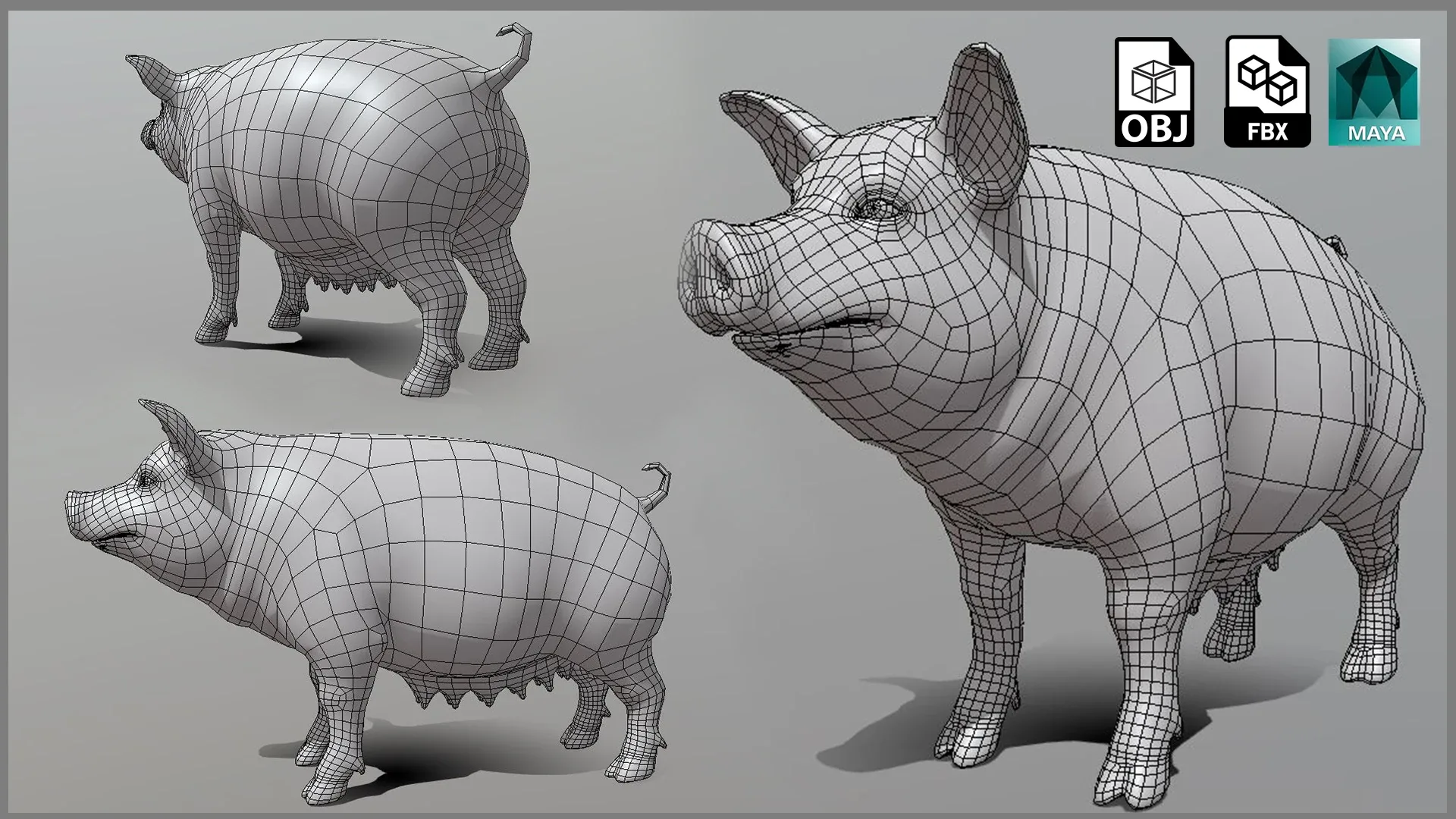 Female Pig BaseMesh - Topology + UV Map