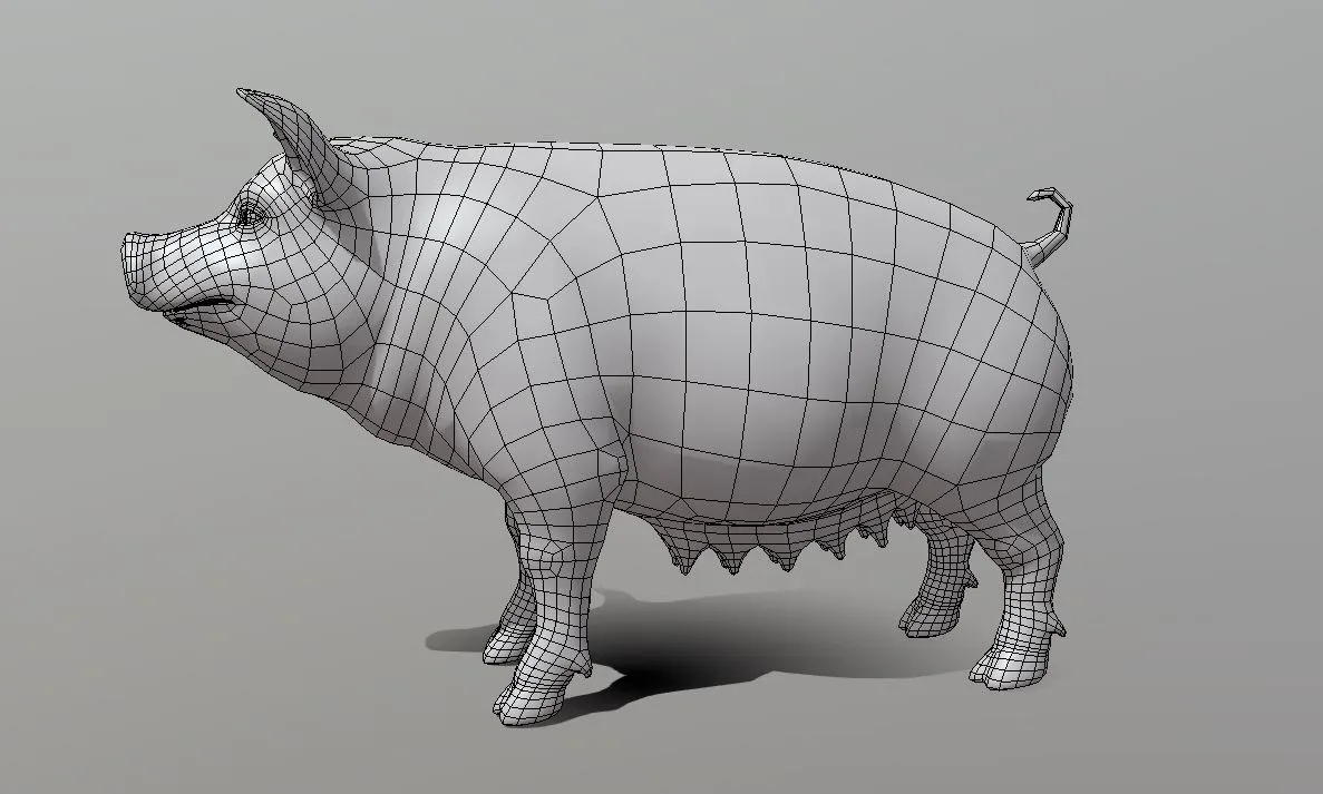 Female Pig BaseMesh - Topology + UV Map