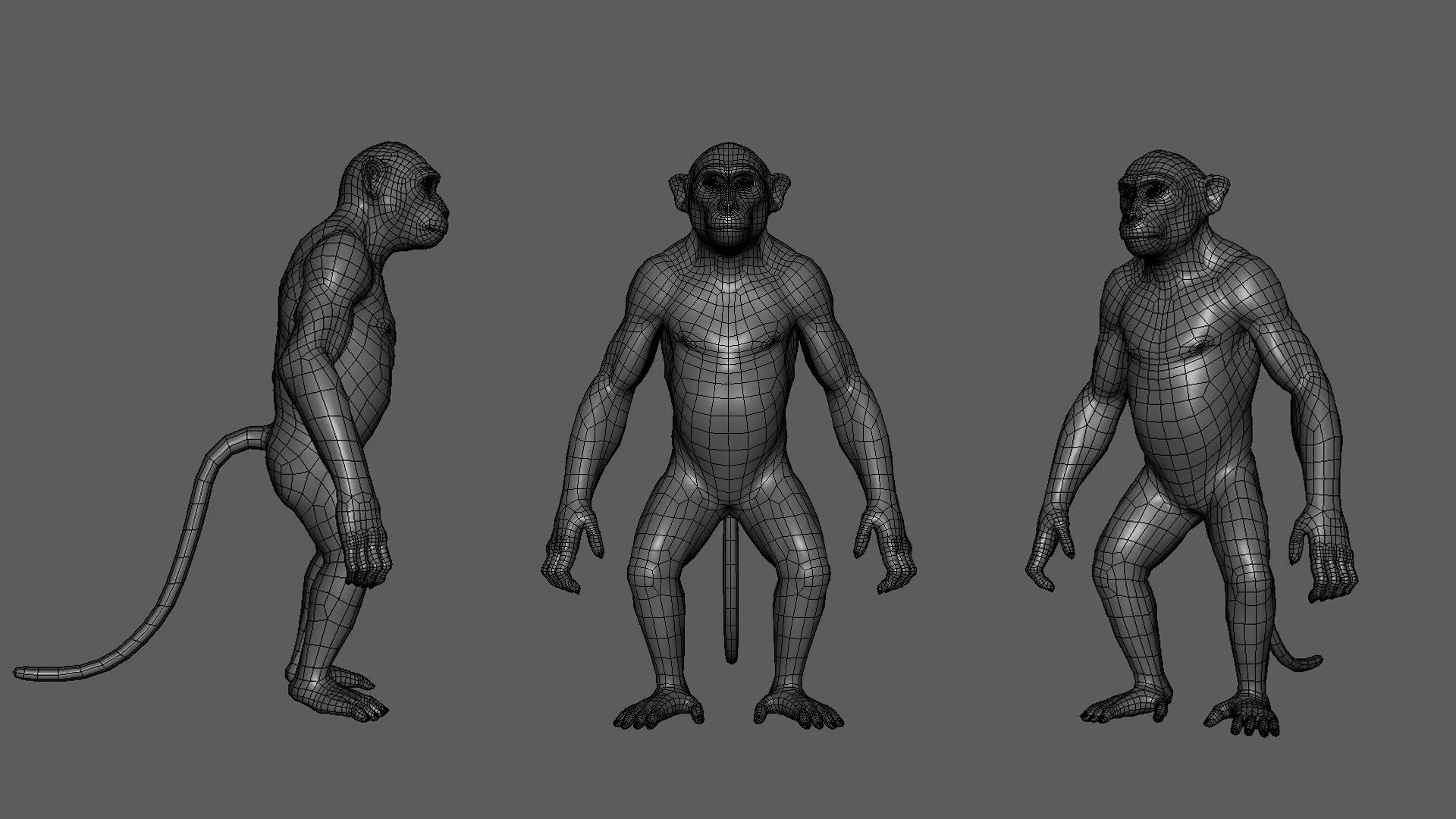 Monkey - Topology + UV Map