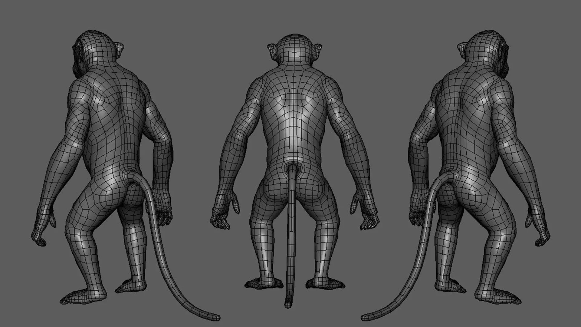 Monkey - Topology + UV Map