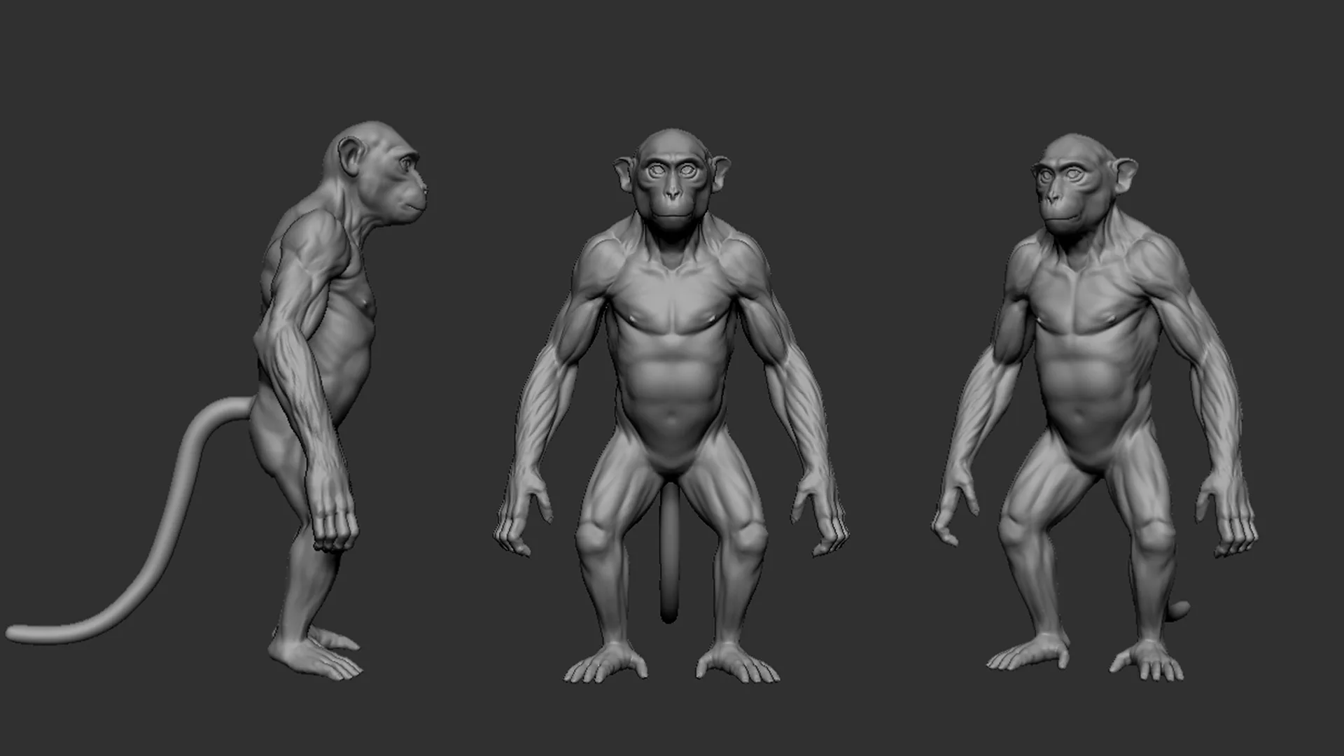 Monkey - Topology + UV Map