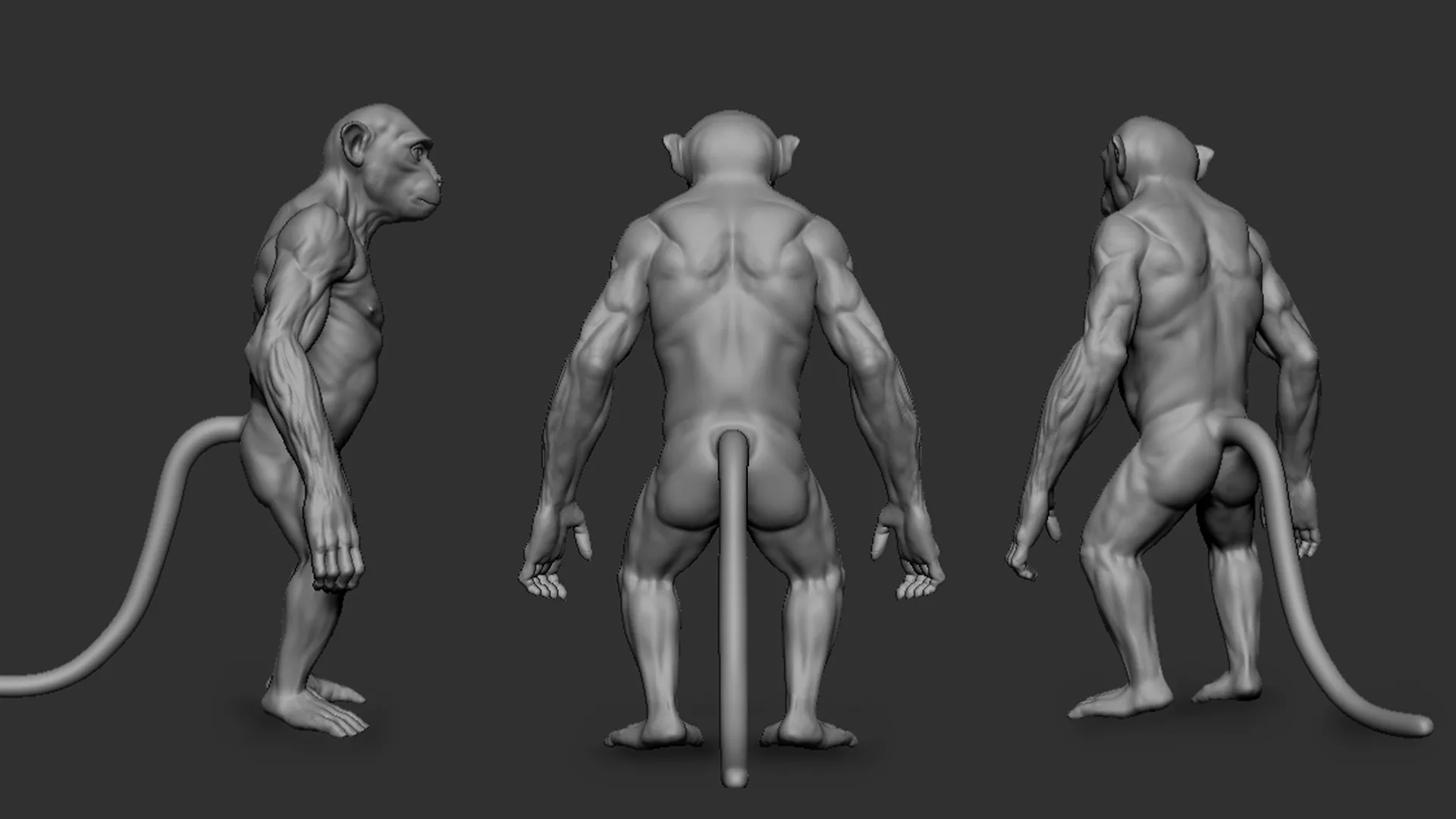 Monkey - Topology + UV Map