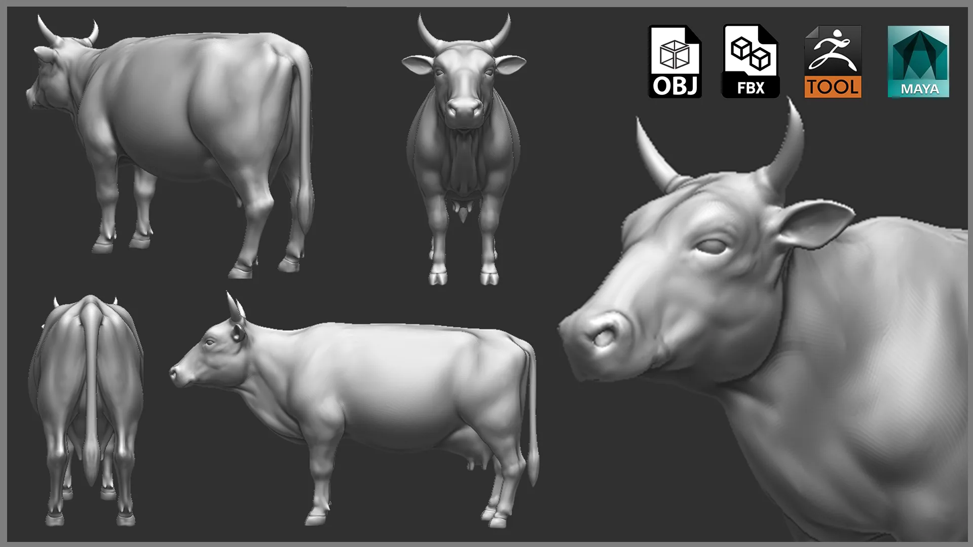 Cow - Topology + UV Map