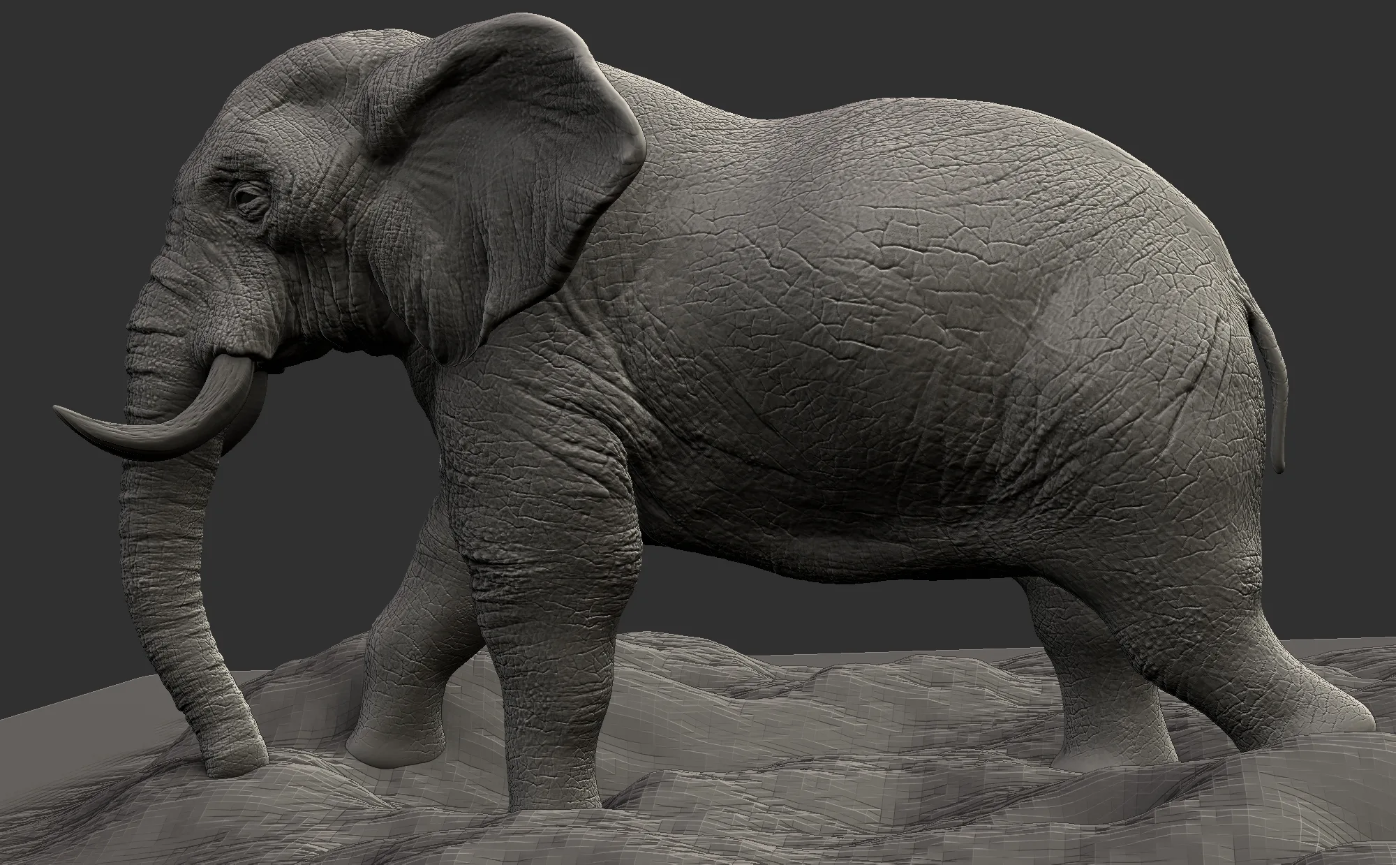 Elephant - Topology + UV Map