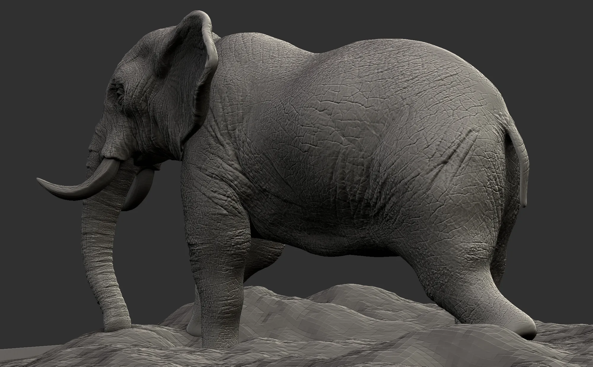 Elephant - Topology + UV Map