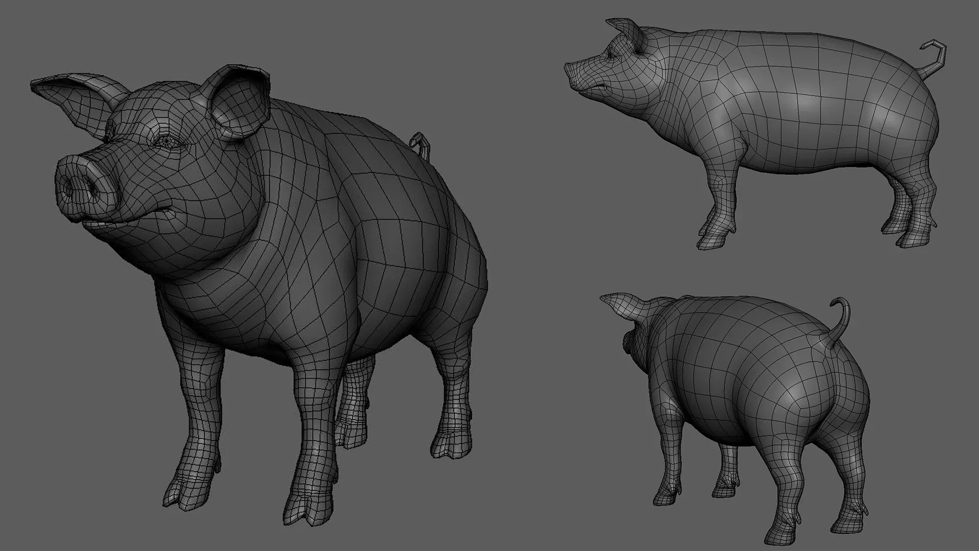 Pig Family BaseMesh - Topology + UV Map