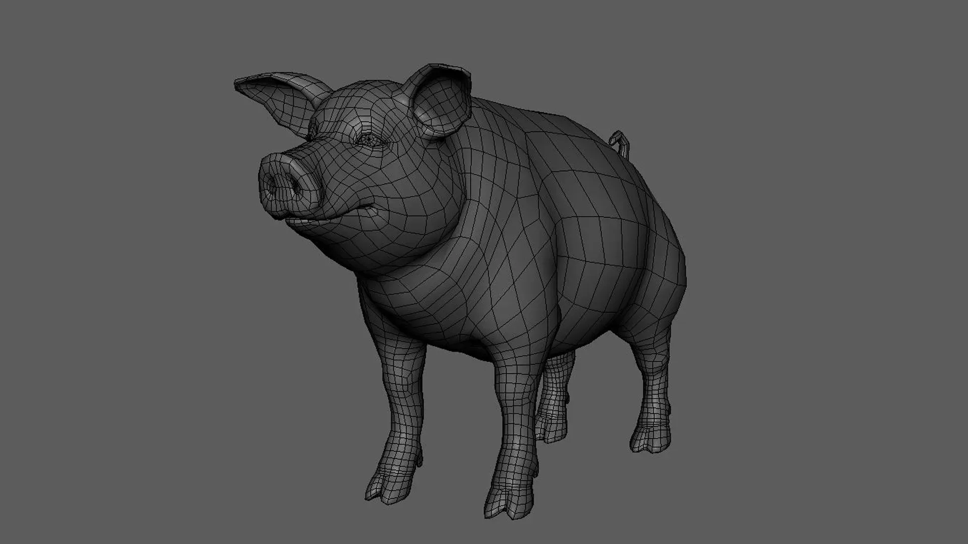 Pig Family BaseMesh - Topology + UV Map