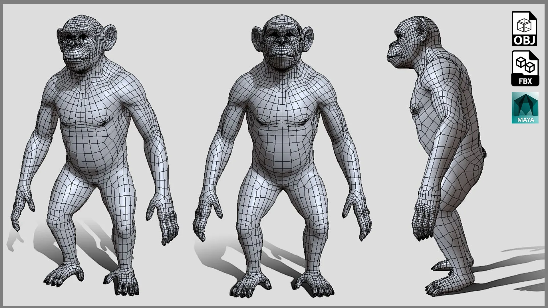 Primate Pack ( Monkey, Chimpanzee, Gorilla, Orangutan ) - Topology + UV Map