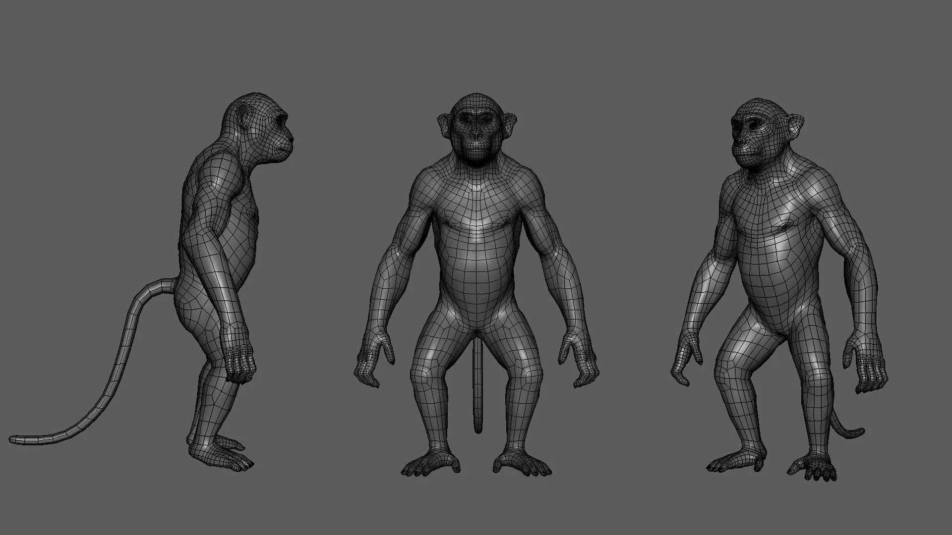 Primate Pack ( Monkey, Chimpanzee, Gorilla, Orangutan ) - Topology + UV Map