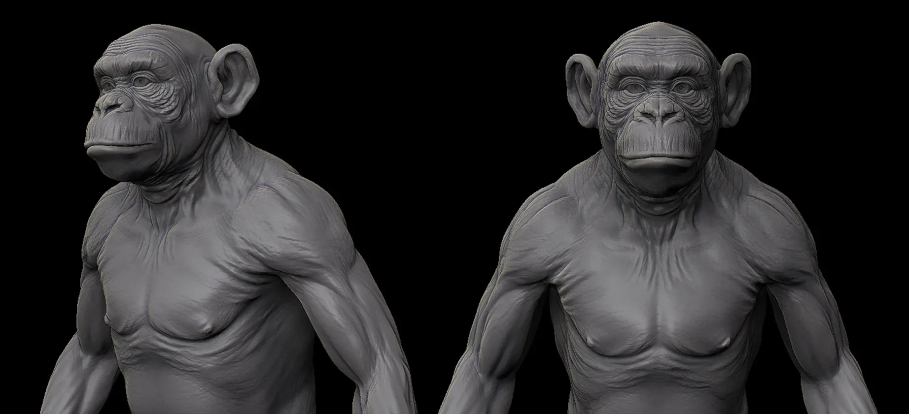 Primate Pack ( Monkey, Chimpanzee, Gorilla, Orangutan ) - Topology + UV Map