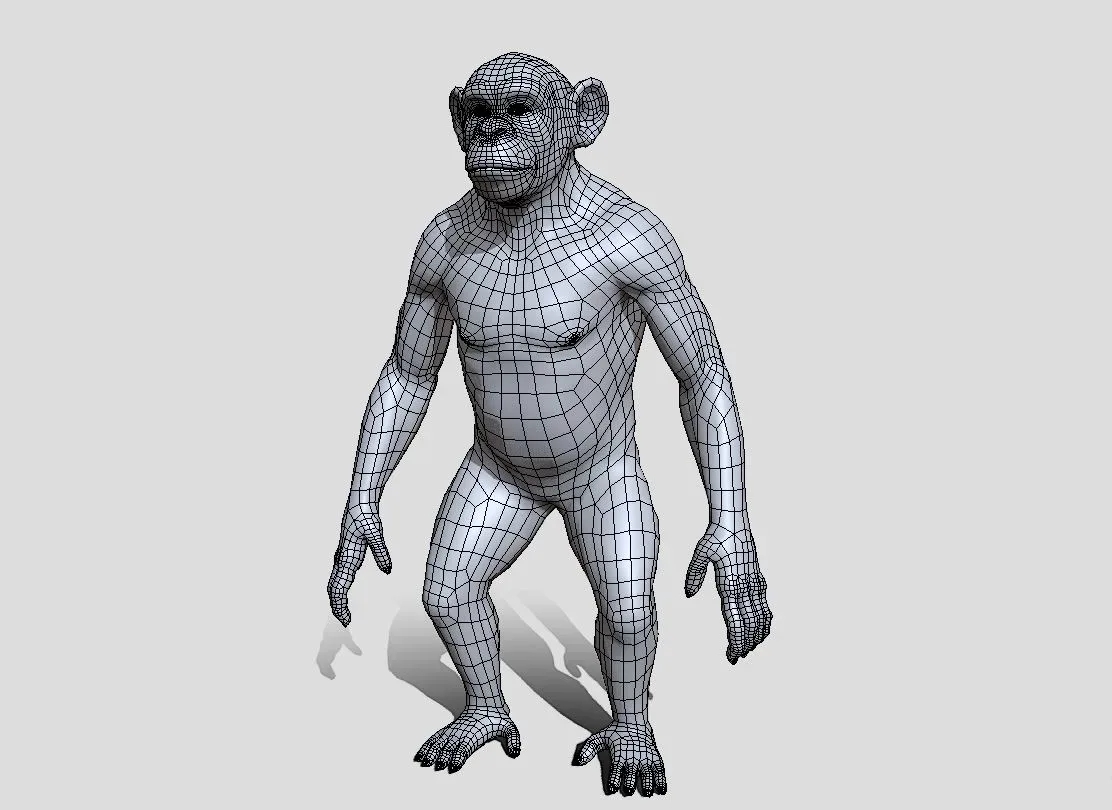 Chimpanzee BaseMesh - Topology + UV Map