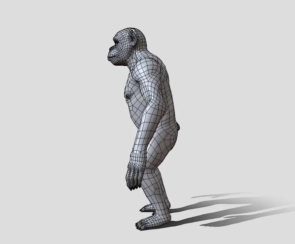 Chimpanzee BaseMesh - Topology + UV Map