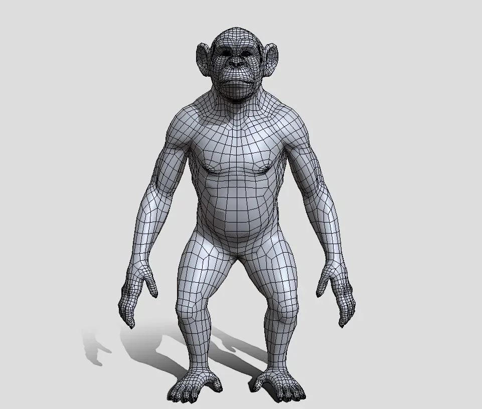 Chimpanzee BaseMesh - Topology + UV Map