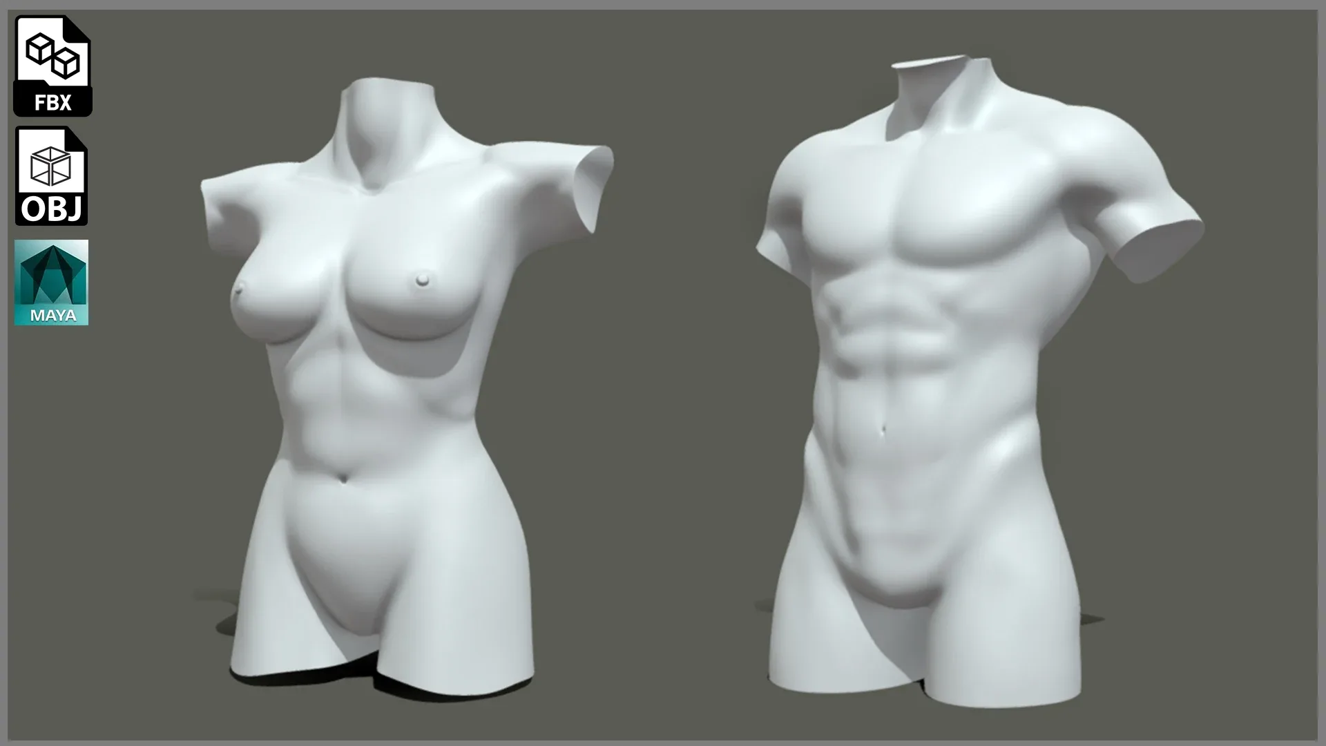 BaseMesh Torso ( Male+Female) - Topology + UV Map