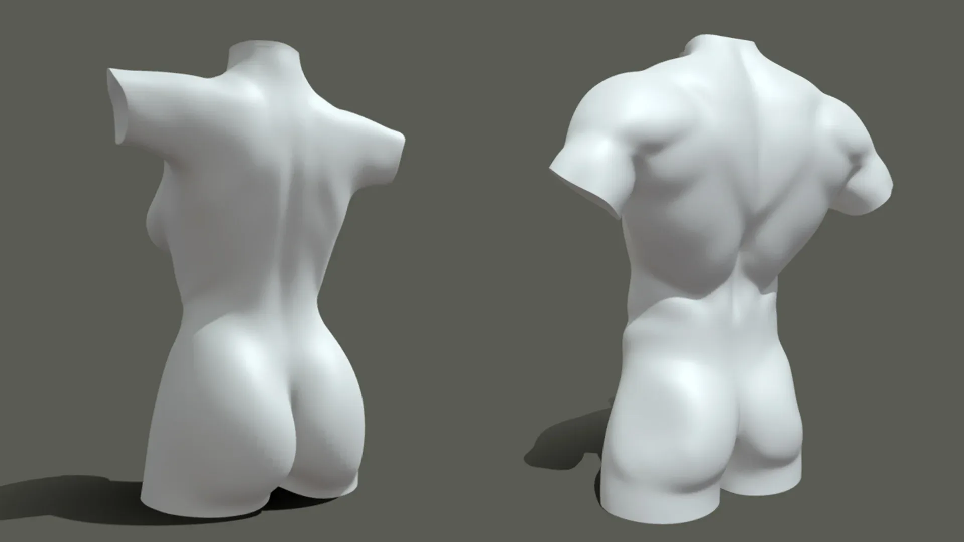 BaseMesh Torso ( Male+Female) - Topology + UV Map