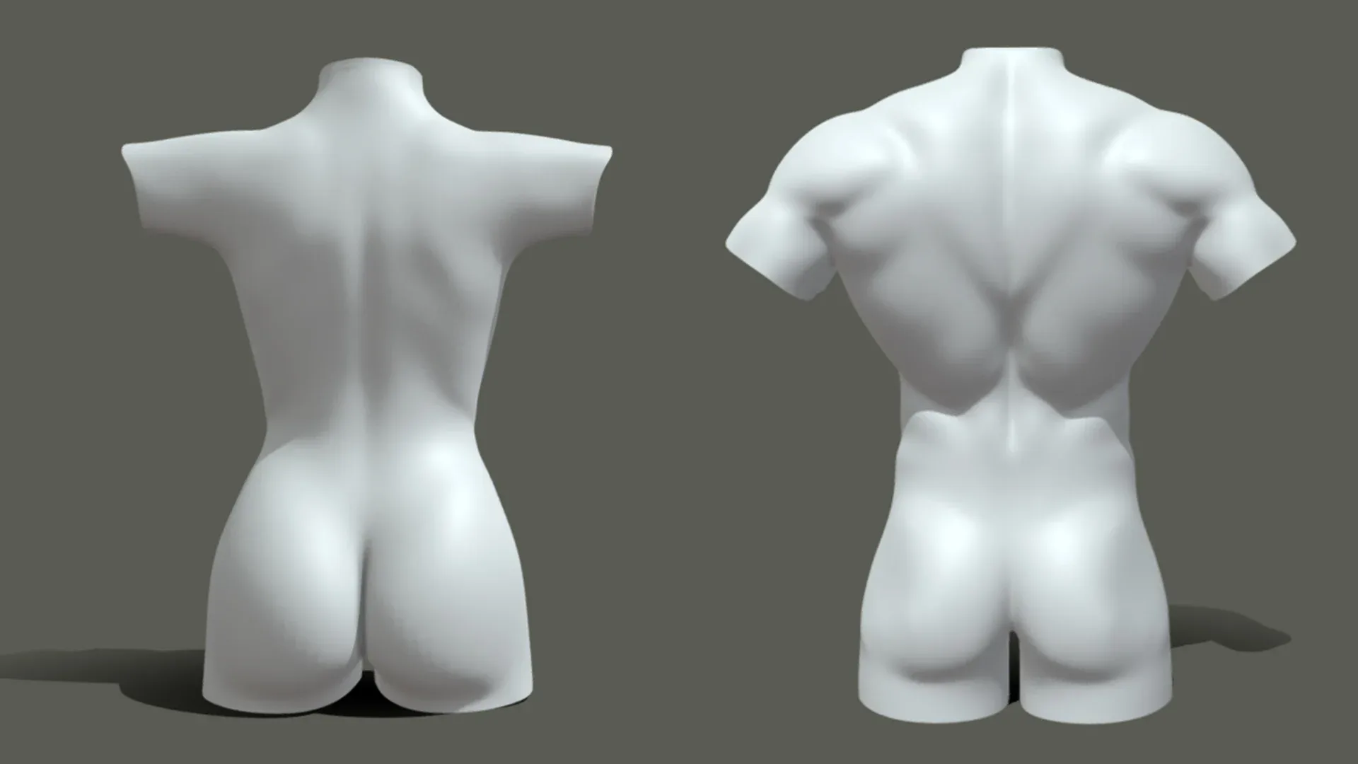 BaseMesh Torso ( Male+Female) - Topology + UV Map