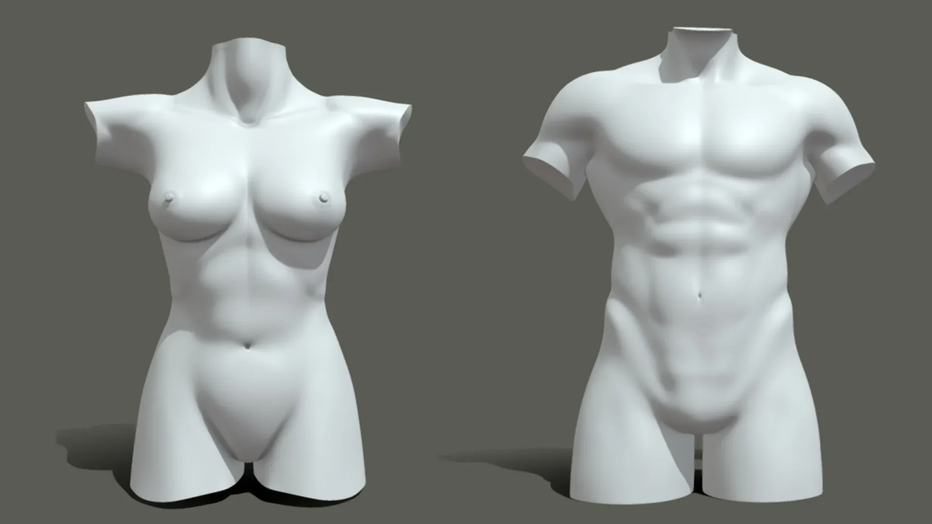 BaseMesh Torso ( Male+Female) - Topology + UV Map