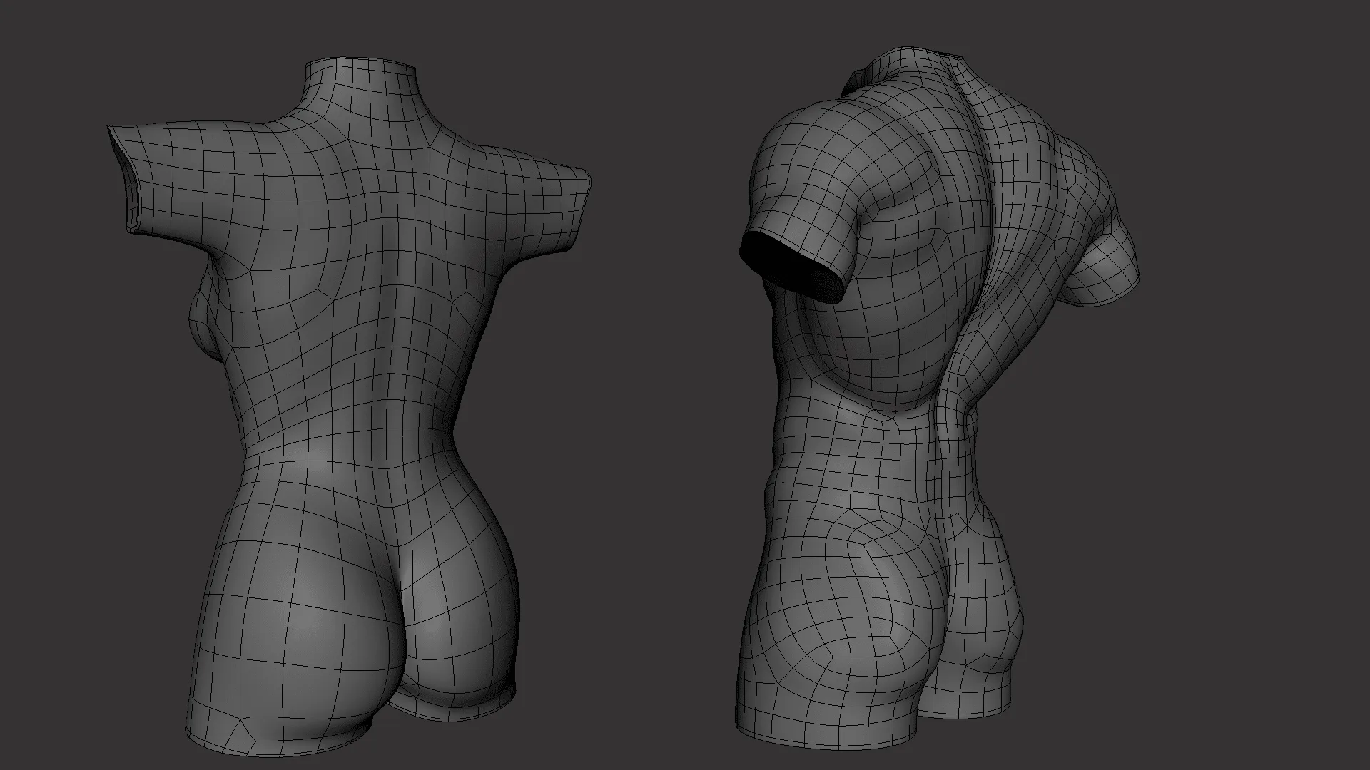 BaseMesh Torso ( Male+Female) - Topology + UV Map