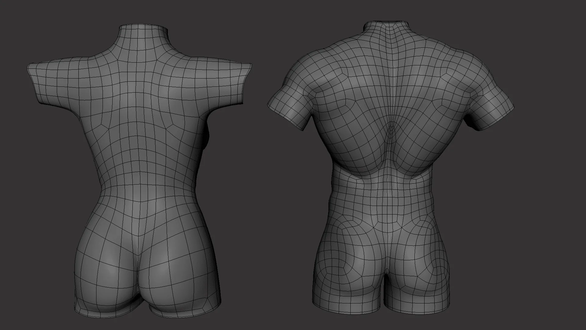 BaseMesh Torso ( Male+Female) - Topology + UV Map