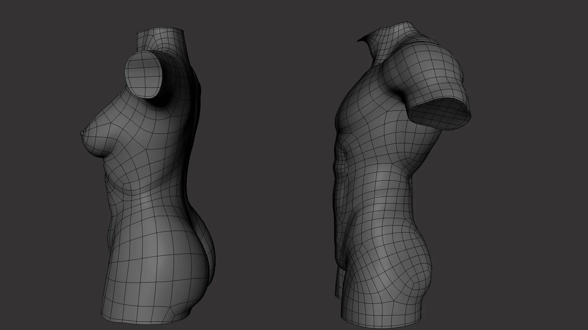 BaseMesh Torso ( Male+Female) - Topology + UV Map