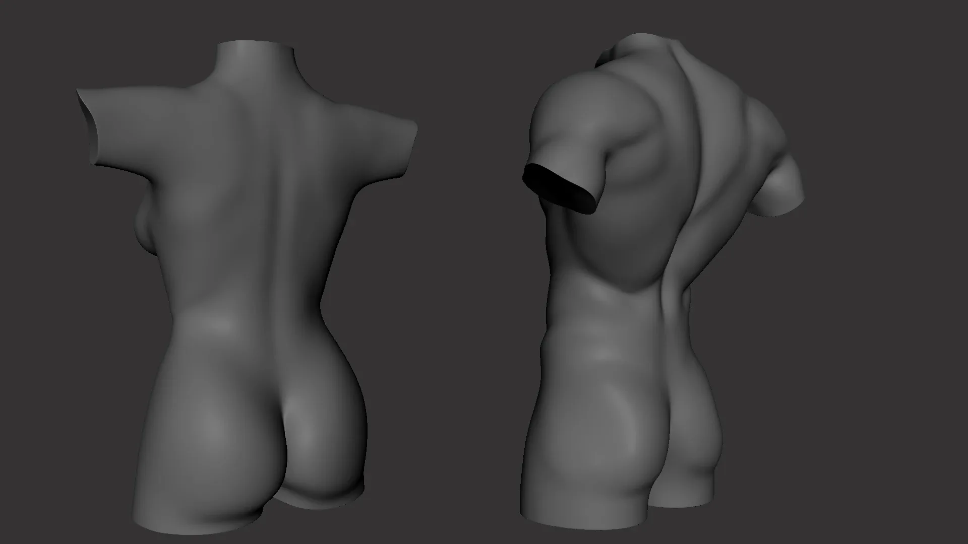 BaseMesh Torso ( Male+Female) - Topology + UV Map