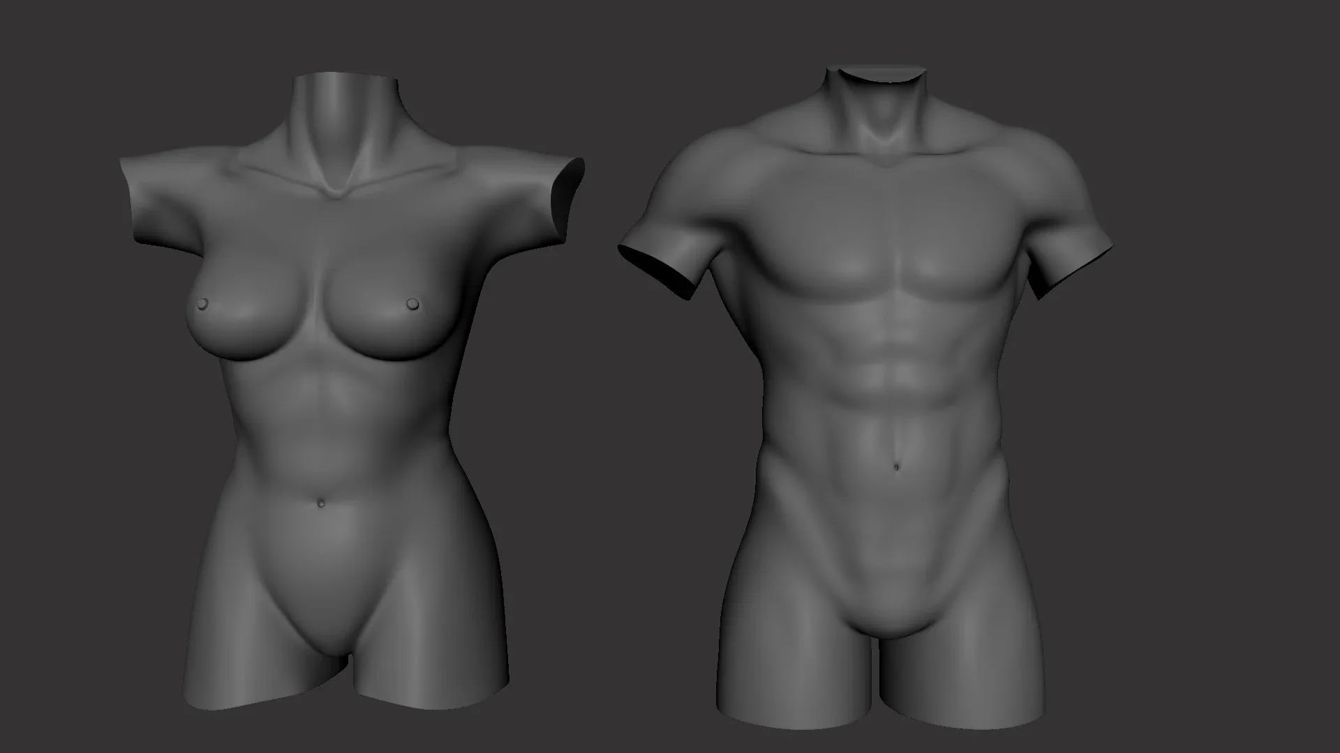 BaseMesh Torso ( Male+Female) - Topology + UV Map