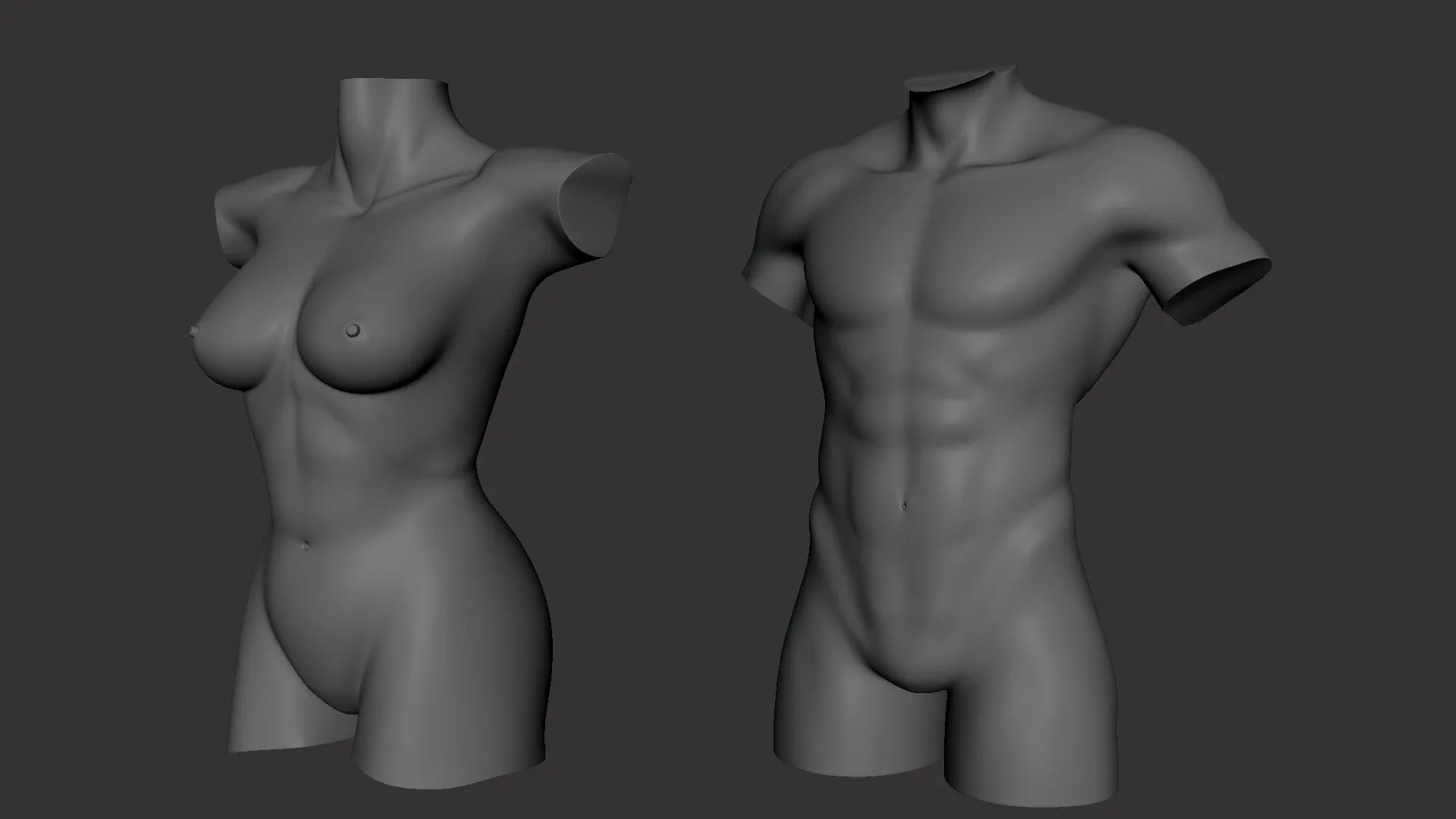 BaseMesh Torso ( Male+Female) - Topology + UV Map