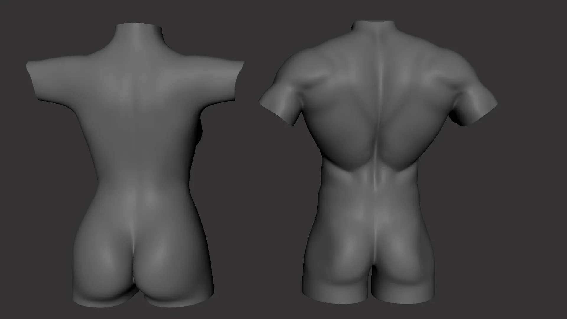 BaseMesh Torso ( Male+Female) - Topology + UV Map