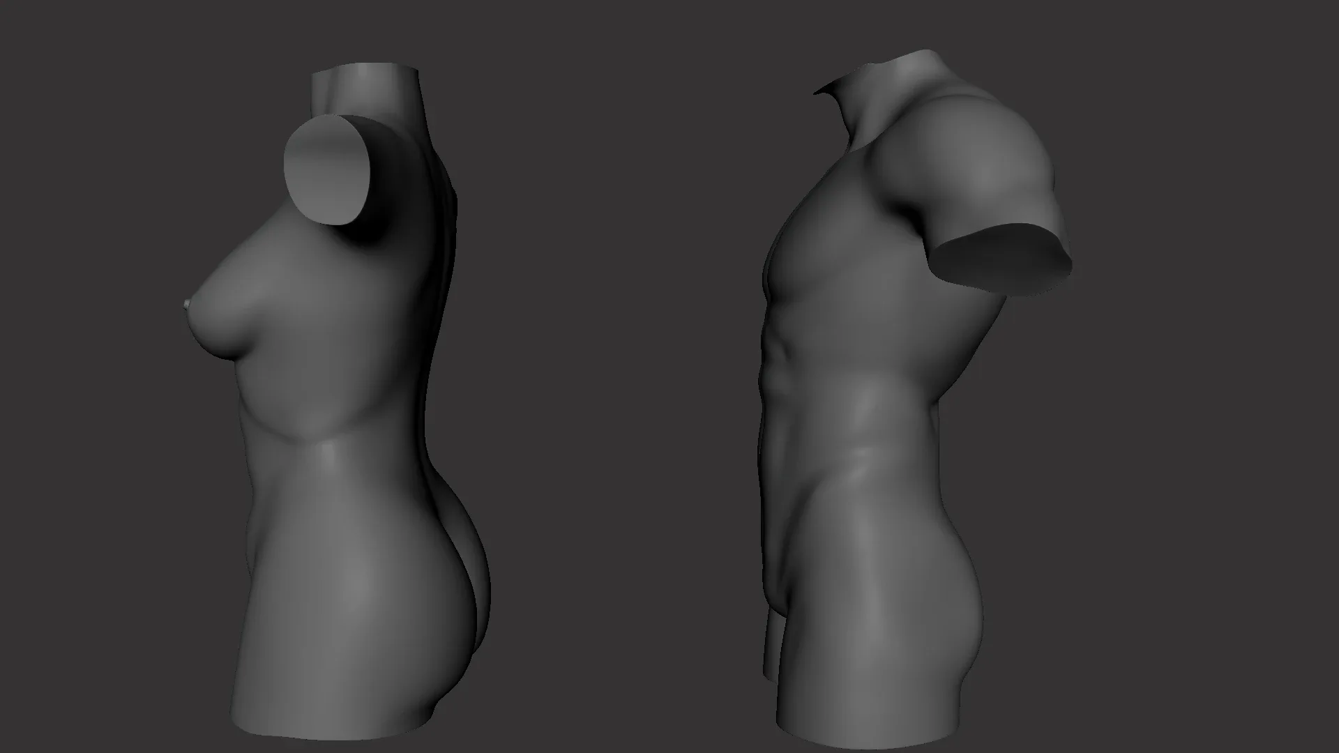 BaseMesh Torso ( Male+Female) - Topology + UV Map