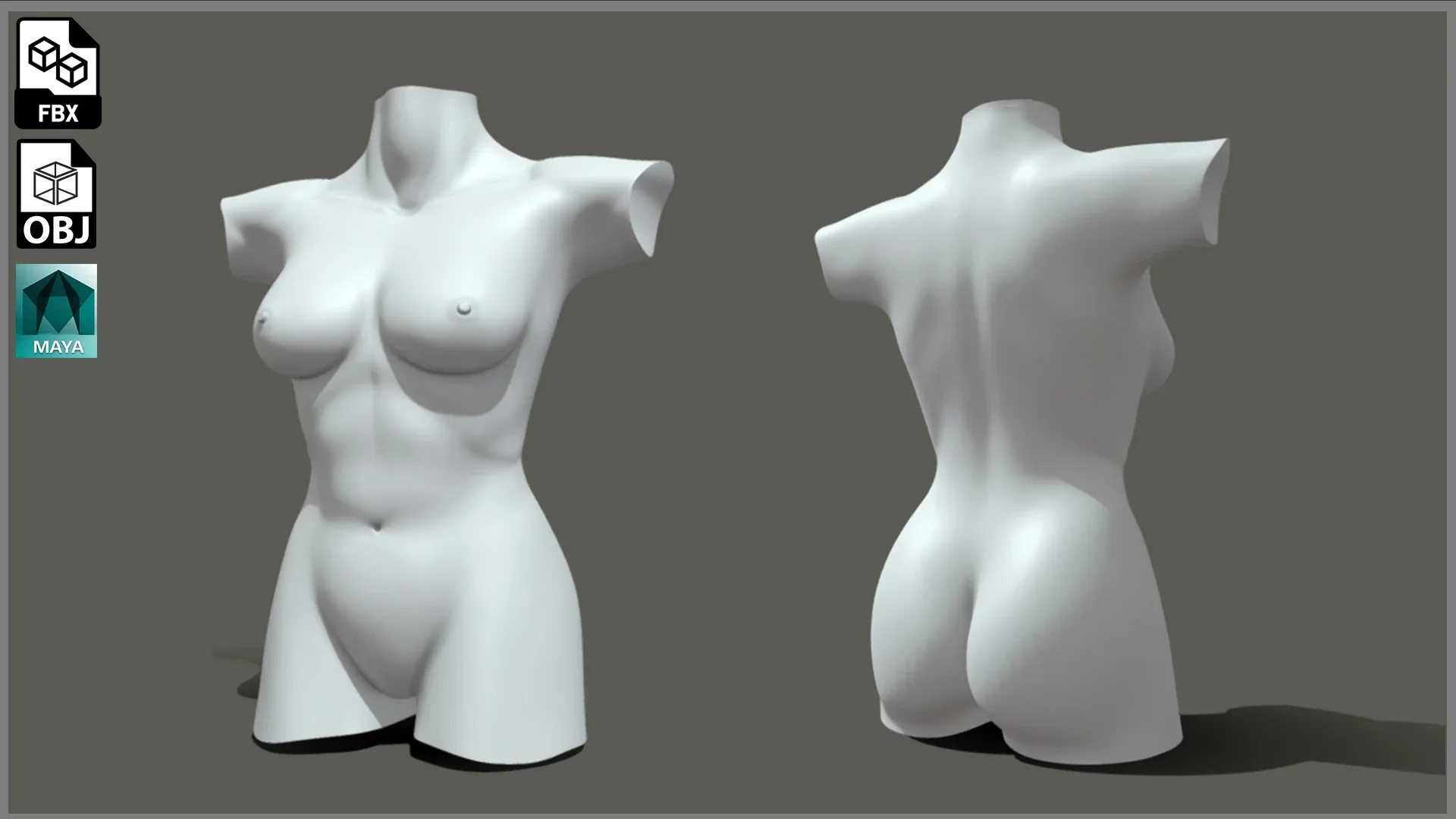 Female Torso BaseMesh - Topology + UV Map