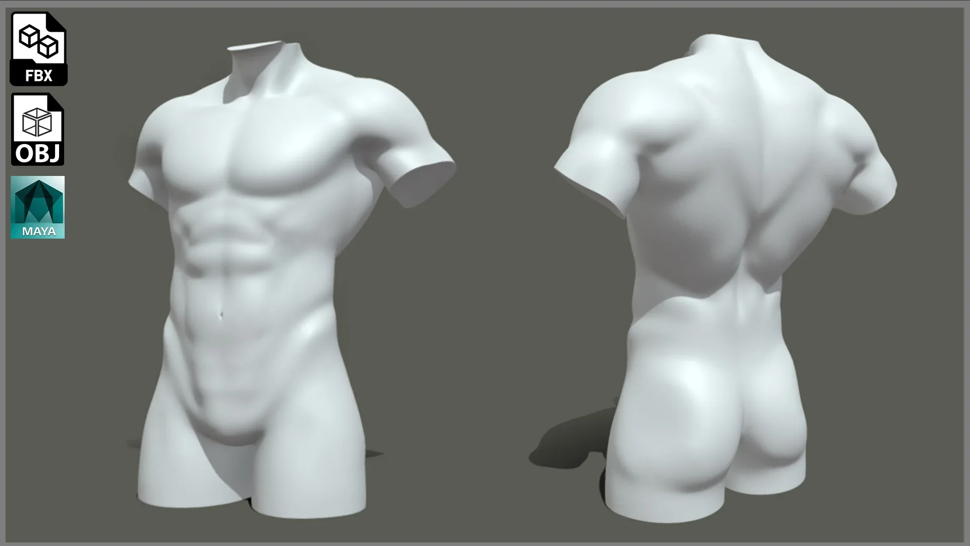 Male Torso BaseMesh - Topology + UV Map