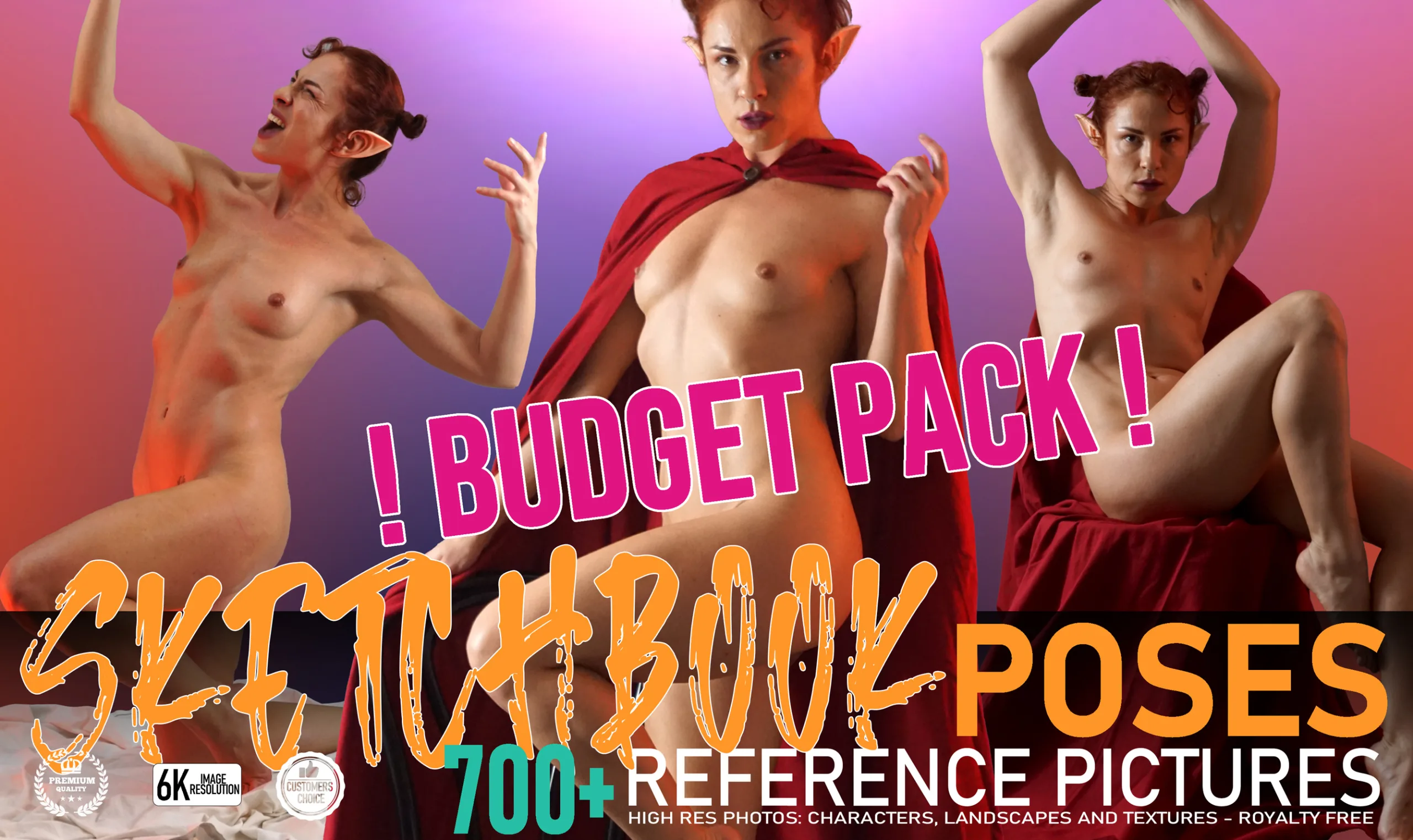 Sketchbook Poses !BUDGET PACK! 700+jpg's