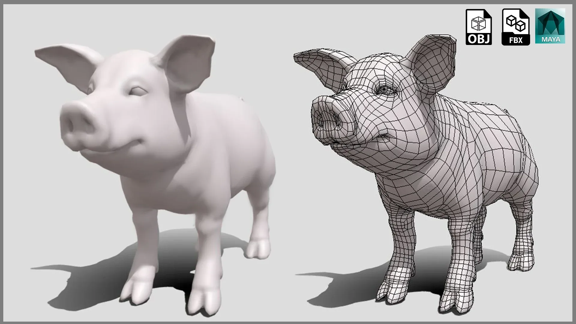 Baby Pig BaseMesh - Topology + UV Map