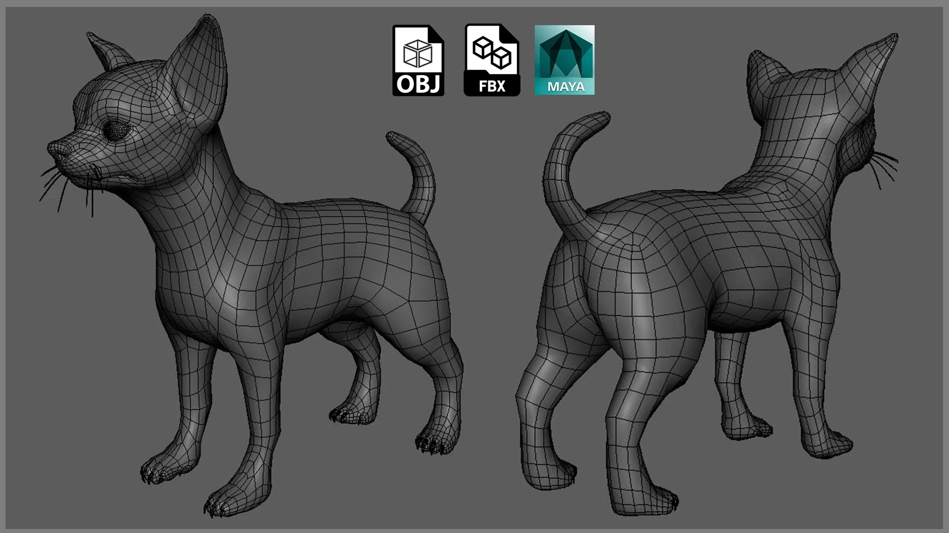 Chihuahua Dog BaseMesh - Topology + UV Map