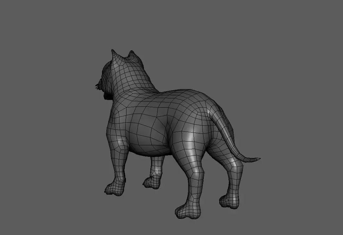 Pitbull Dog - Topology + UV Map