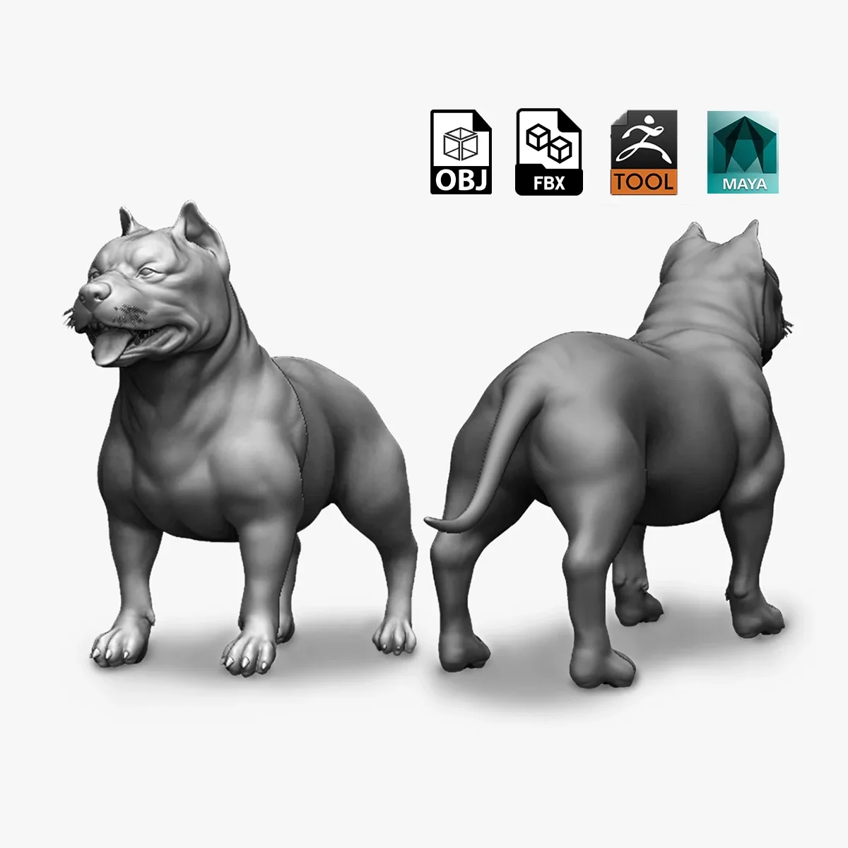 Pitbull Dog - Topology + UV Map