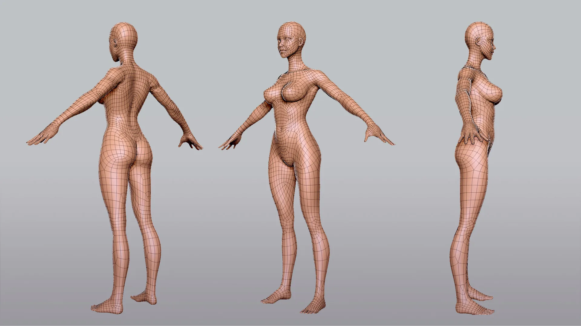 Blender - BaseMesh Female Anatomy - Topology + UV Map