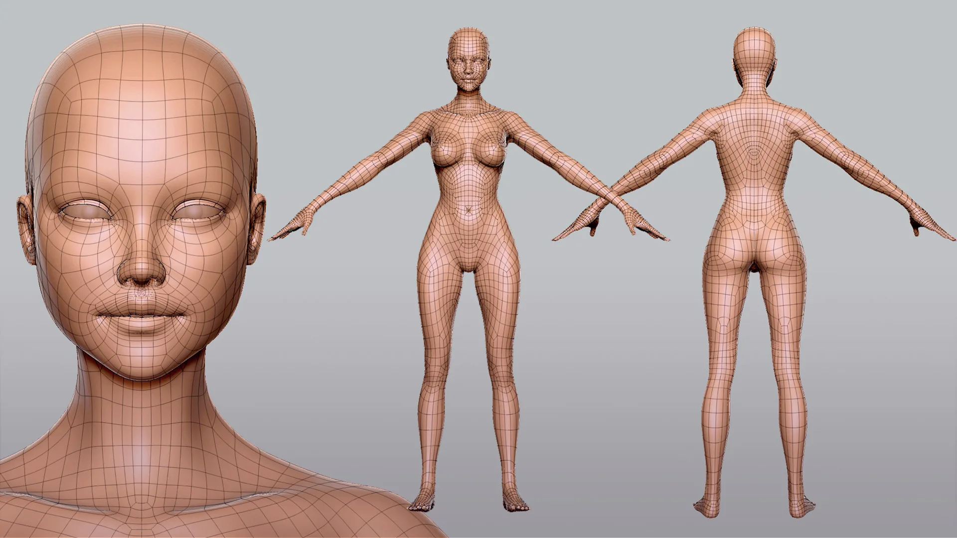 Female BaseMesh - Topology + UV Map