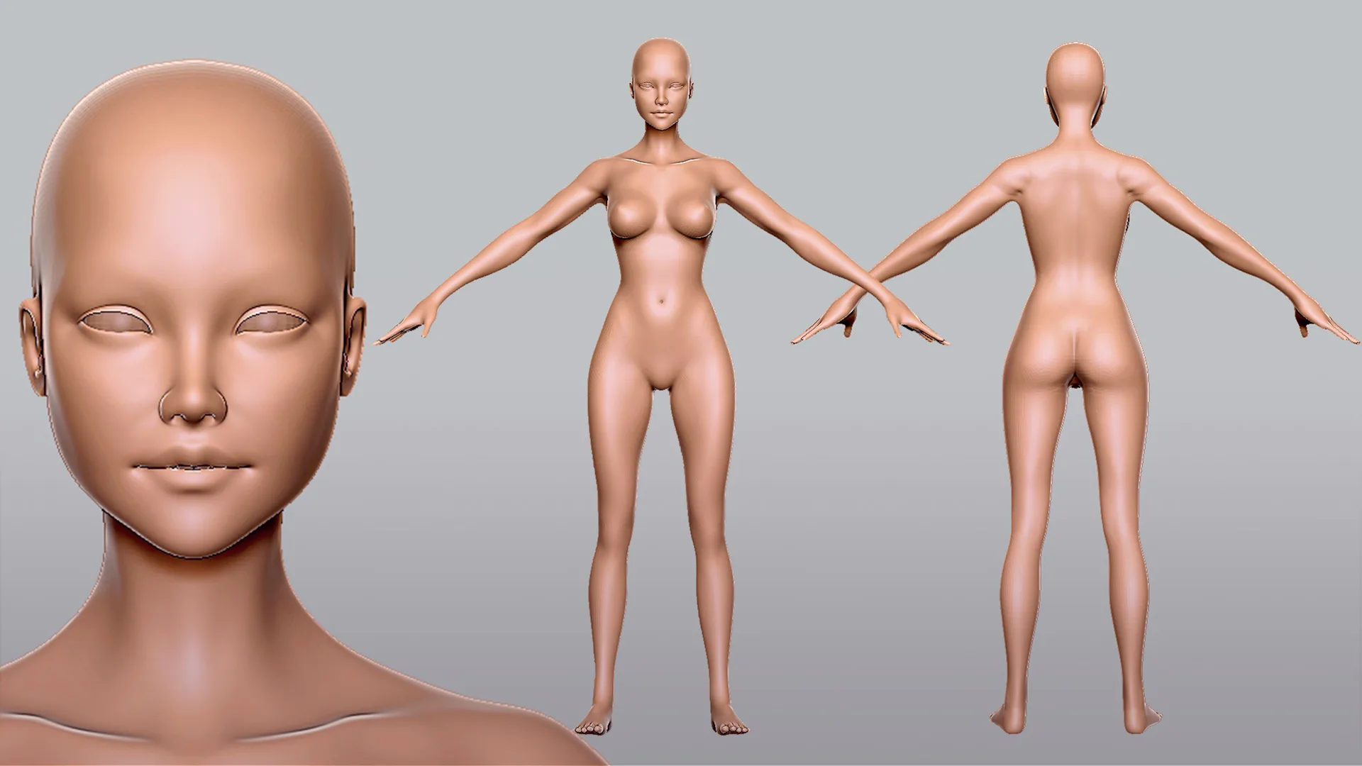 Blender - BaseMesh Female Anatomy - Topology + UV Map