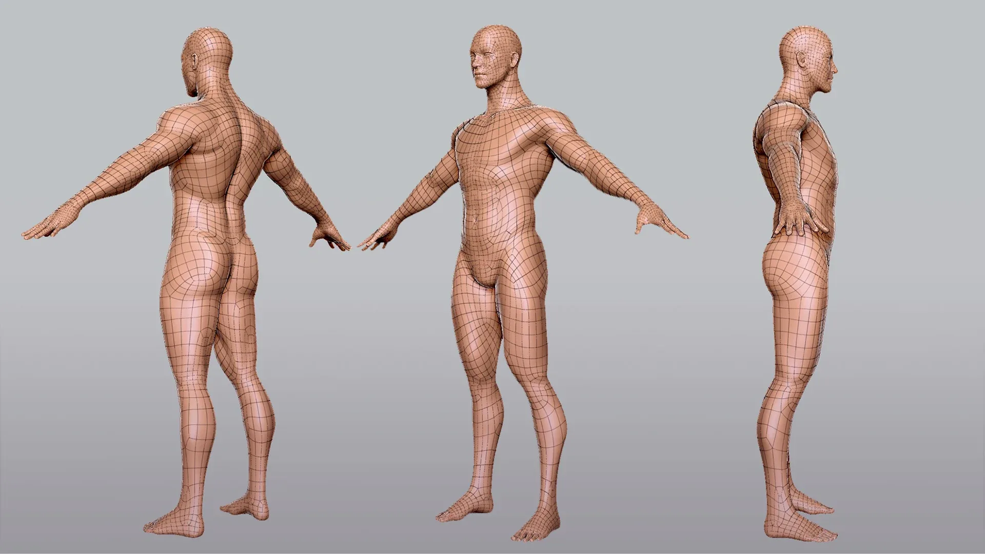 Blender - BaseMesh Anatomy Collection - Topology + UV Map