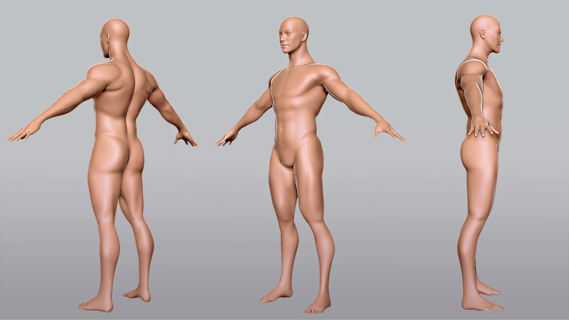 Blender - BaseMesh Male & Female Anatomy - Topology + UV Map