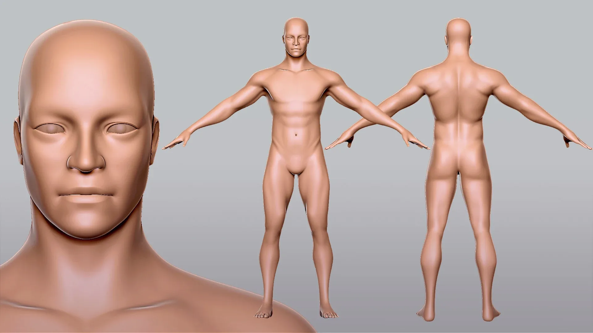 Blender - BaseMesh Male & Female Anatomy - Topology + UV Map