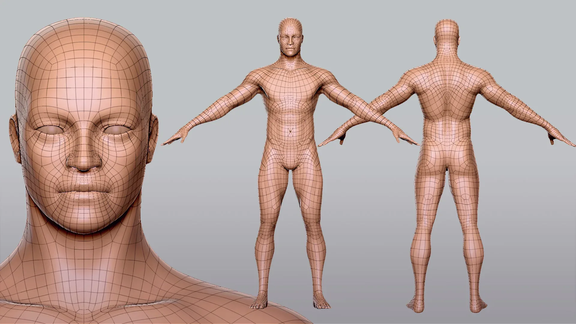 Blender - BaseMesh Male & Female Anatomy - Topology + UV Map